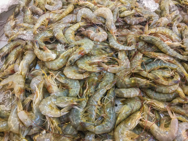 istock Pile of a fresh prawn on an ice 972596468