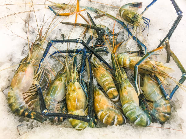 istock A group of a fresh big shrimp on ice 972596964