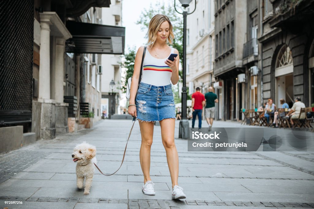 Zwei Freunde in entspannter Spaziergang - Lizenzfrei Hund Stock-Foto