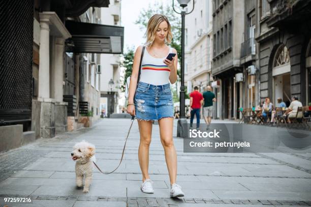 Zwei Freunde In Entspannter Spaziergang Stockfoto und mehr Bilder von Hund - Hund, Gehen, Stadt