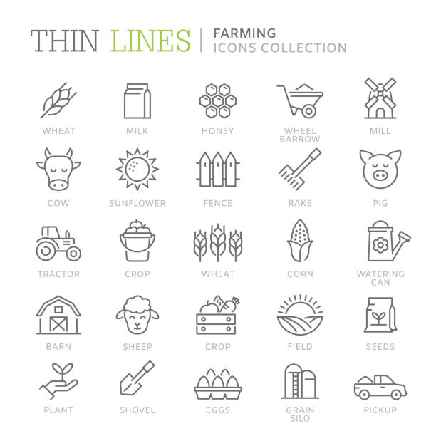Collection of farming thin line icons Collection of farming thin line icons. Vetor eps 8 silo bag stock illustrations