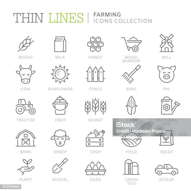Collection Of Farming Thin Line Icons Stock Illustration - Download Image Now - Icon Symbol, Farm, Wheat