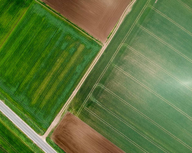 istock Aerial view of agricultural fields 972599660