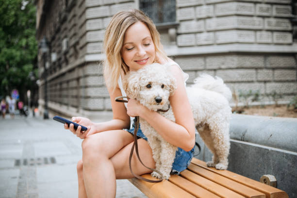 istock Sharing moments on social networks 972600678