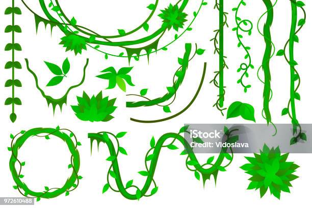 Vine Liana Set Vector Stock Illustration - Download Image Now - Vine - Plant, Liana, Vector