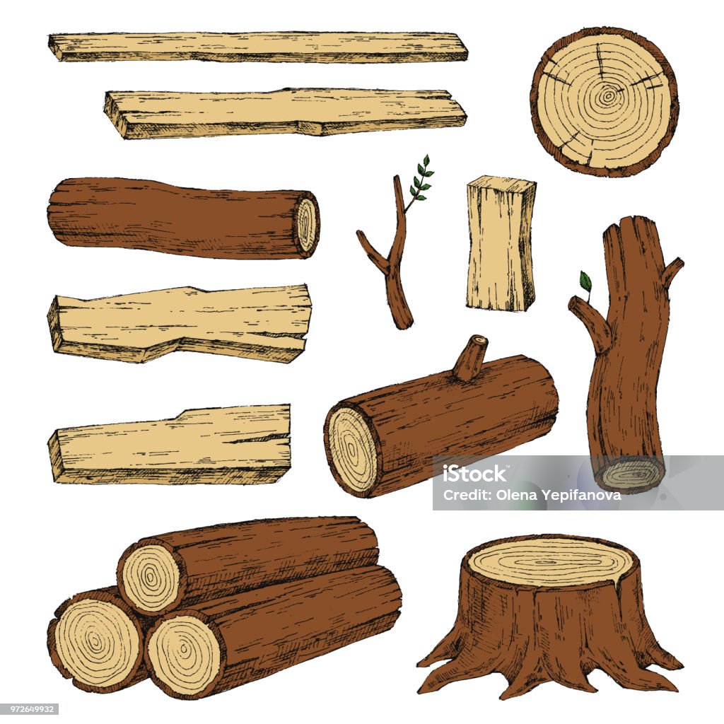 Wood, burning materials. Vector sketch illustration collection. Materials for wood industry. Stump, branch, timber. Tree lumber Wood, burning materials. Vector sketch illustration collection. Materials for wood industry. Tree Stump stock vector