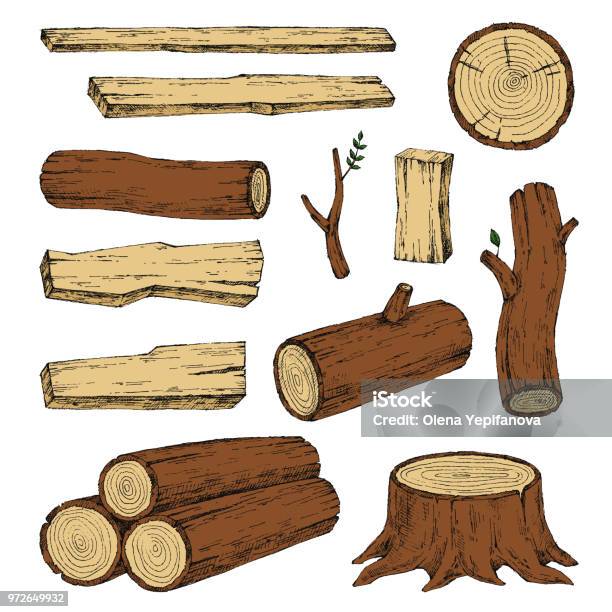 Wood Burning Materials Vector Sketch Illustration Collection Materials For Wood Industry Stump Branch Timber Tree Lumber Stock Illustration - Download Image Now