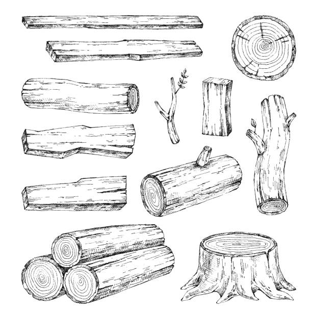 나무, 재료를 굽기입니다. 벡터 스케치 그림 컬렉션입니다. 목재 산업에 대 한 자료입니다. 그 루터 기, 분 지, 목재입니다. 나무 목재 - 통나무 stock illustrations