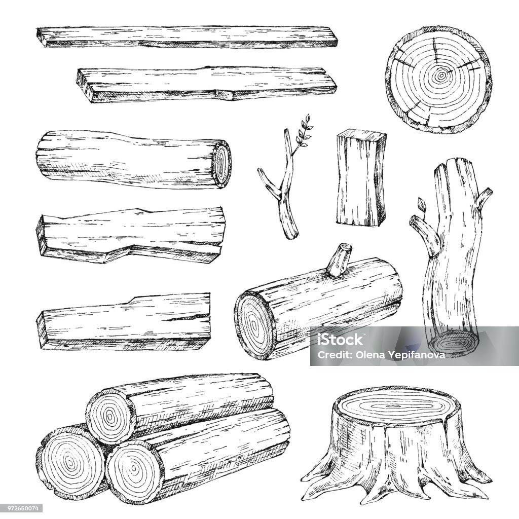 Wood, burning materials. Vector sketch illustration collection. Materials for wood industry. Stump, branch, timber. Tree lumber Wood, burning materials. Vector sketch illustration collection. Materials for wood industry. Wood - Material stock vector