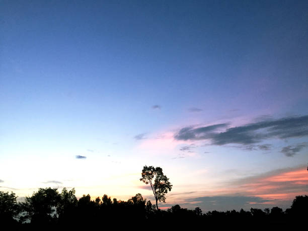istock Beautiful Sunlight and filed landscape in the evening. 972658372