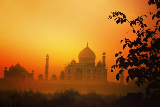 istock Taj Mahal in the morning 972660076