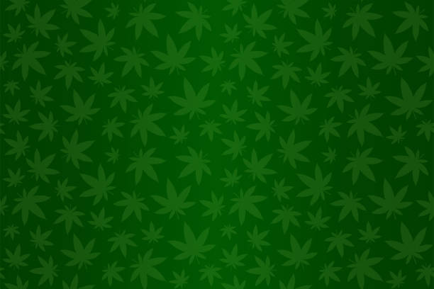 ilustraciones, imágenes clip art, dibujos animados e iconos de stock de patrón verde con cannabis - wallpapers marihuana