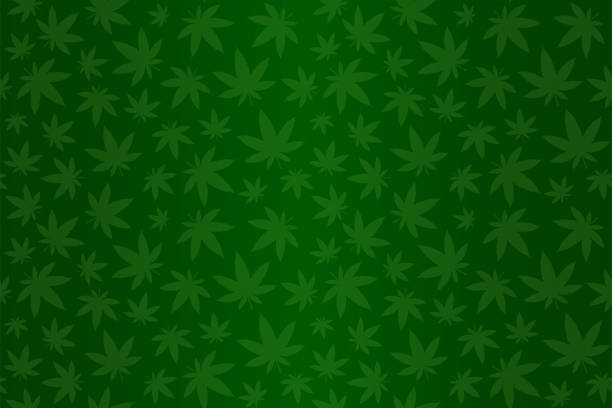 Green pattern with cannabis Beautiful green seamless pattern with cannabis leaves cannabis narcotic stock illustrations