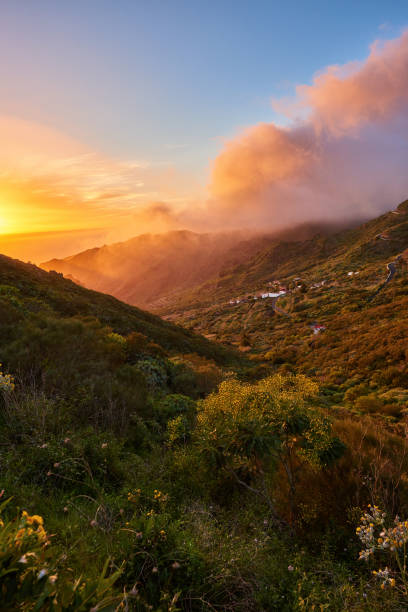 istock landscape in Tenerife 972675318