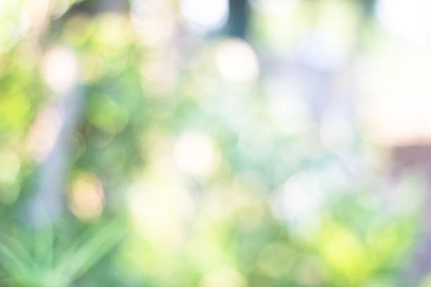 istock green blurred backdrop of nature, circle light wallpaper, white bokeh background 972683384