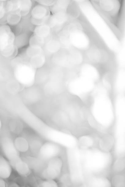 istock white blurred backdrop of nature, circle white wallpaper, gray bokeh background 972683766