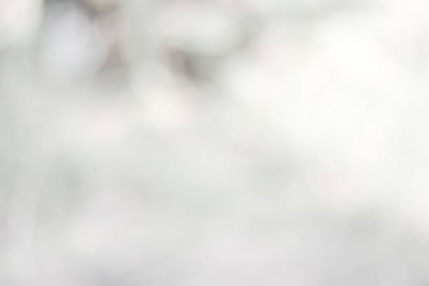istock white blurred backdrop of nature, circle white wallpaper, gray bokeh background 972686846