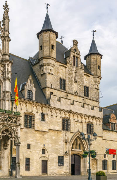 istock Mechelen City Hall, Belgium 972687364
