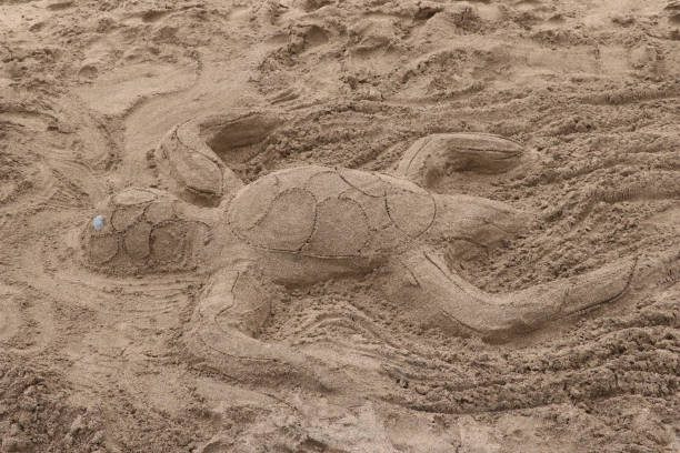 istock turtle of sand 972694020