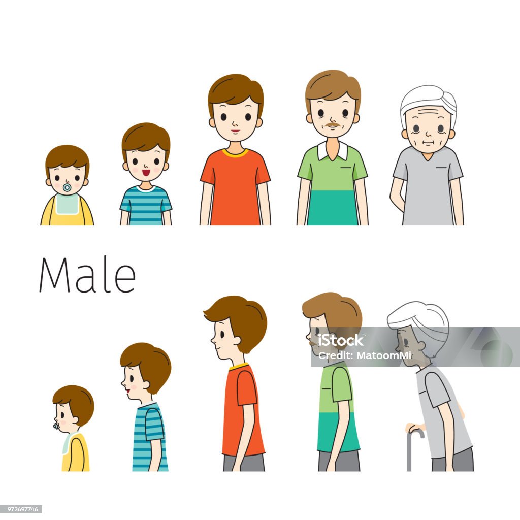 The Life Cycle Of Man. Generations And Stages Of Human Body Growth. Different Ages, Baby, Child, teenager, adult, Old Person. Outline, Side View Age, People, Development, Lifestyle Child stock vector