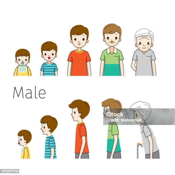 The Life Cycle Of Man Generations And Stages Of Human Body Growth Different Ages Baby Child Teenager Adult Old Person Outline Side View Stock Illustration - Download Image Now