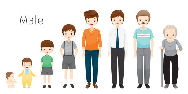 ilustraciones, imágenes clip art, dibujos animados e iconos de stock de el ciclo de vida de las generaciones del hombre y etapas de crecimiento del cuerpo humano. diferentes edades, bebé, niño, adolescente, adulto, anciano - multi generation family illustrations