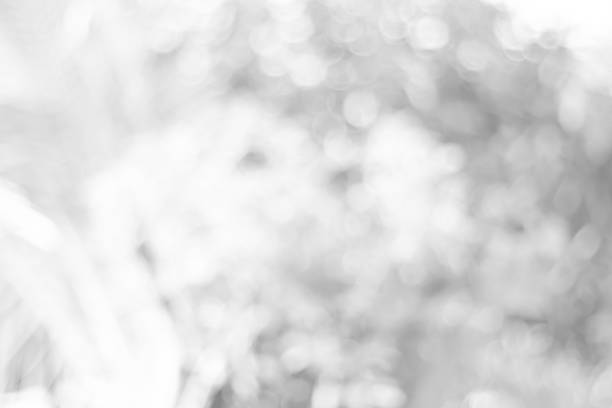 istock white blurred backdrop of nature, circle white wallpaper, gray bokeh background 972701144