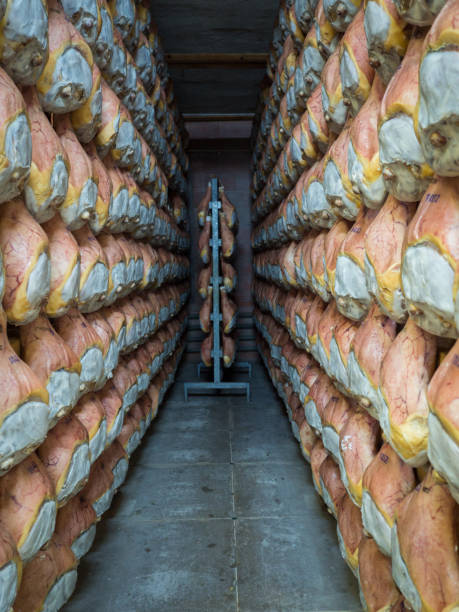 istock Thighs of ham during the seasoning process hanging in a cellar. 972713498