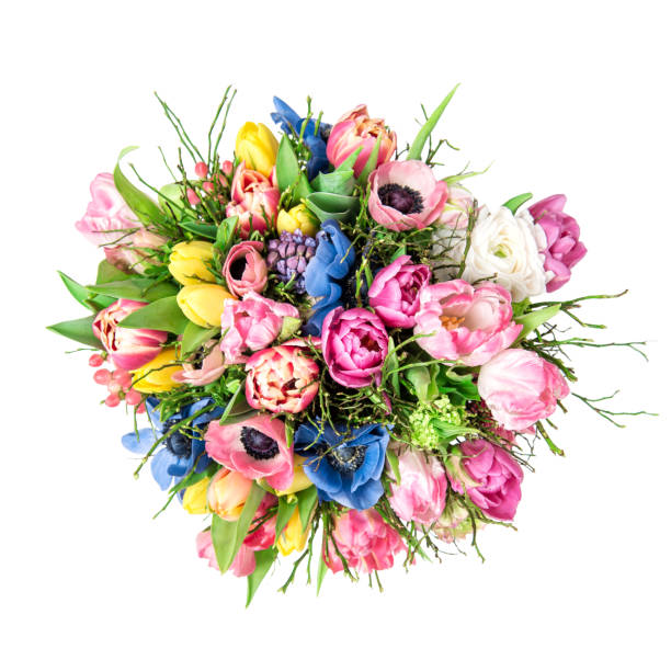 istock Spring flowers Tulip ranunculus anemone Bouquet white background 972718452