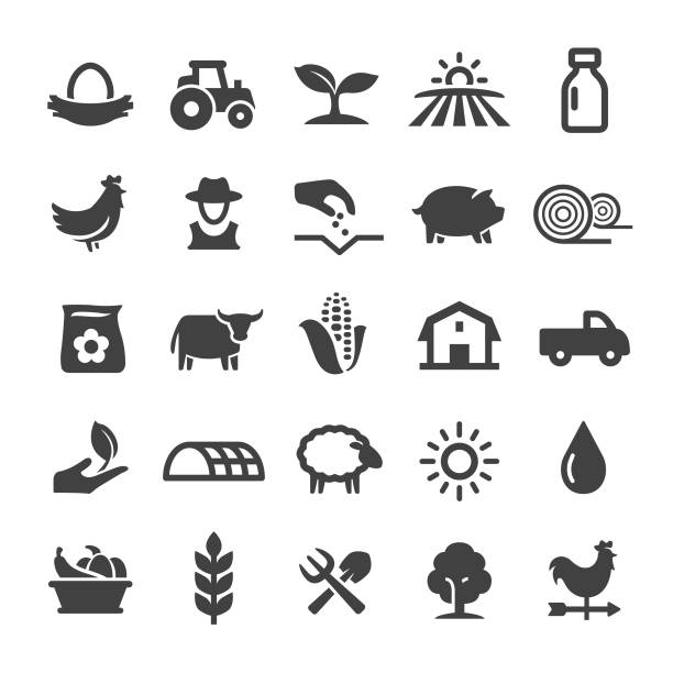 ilustraciones, imágenes clip art, dibujos animados e iconos de stock de iconos - serie inteligente de cultivo - chicken animal farm field