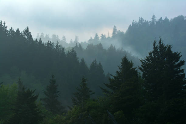 Early morning view from Charlies Bunion along the Appalachian Trail in the Great Smoky Mountains National Park.