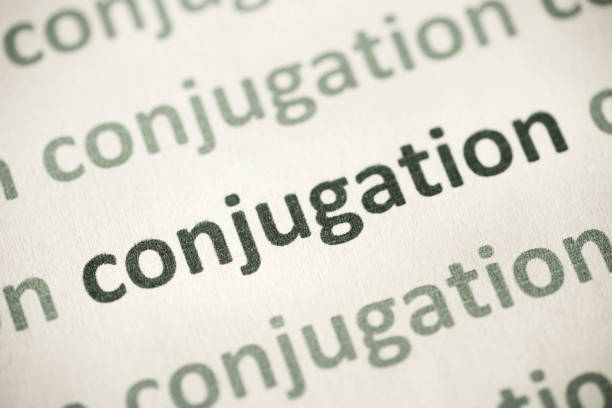 istock word conjugation printed on paper macro 972743656