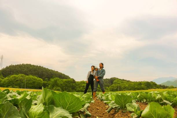 this Japanese family is making farm own themself.  their son (baby) also always in the farm.