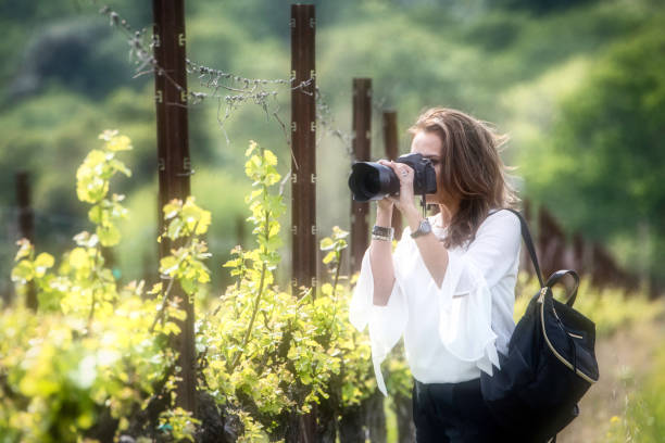 istock Photographing the vineyards 972766460