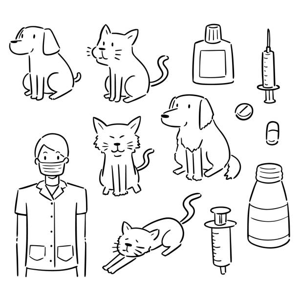 獣医師、動物および装置 - cat pose点のイラスト素材／クリップアート素材／マンガ素材／アイコン素材