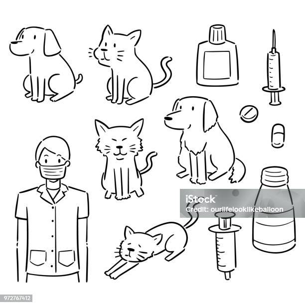 Veterinarian Animal And Equipment Stock Illustration - Download Image Now - Cartoon, Golden Retriever, Portrait