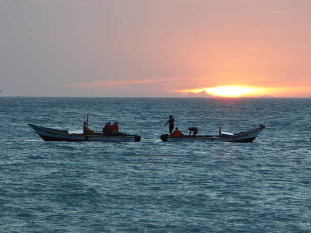 dos de pesca. - falcon fotografías e imágenes de stock