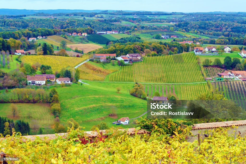 Vineyards surrounding castle Riegersburg, Styria, Austria Vineyards surrounding medieval castle Riegersburg, Styria, Austria Agricultural Field Stock Photo