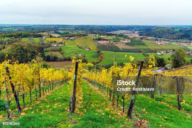 Vineyards Surrounding Castle Riegersburg Styria Austria Stock Photo - Download Image Now