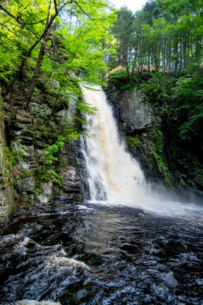 istock Hiking in the woods 972782382
