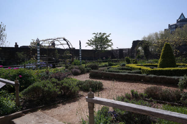 дом и сад тюдоров - southampton tudor style house hampshire стоковые фото и изображения