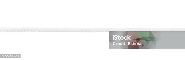 String Rope White Color White Rope Isolated Stock Photo - Download Image Now - White Color ...