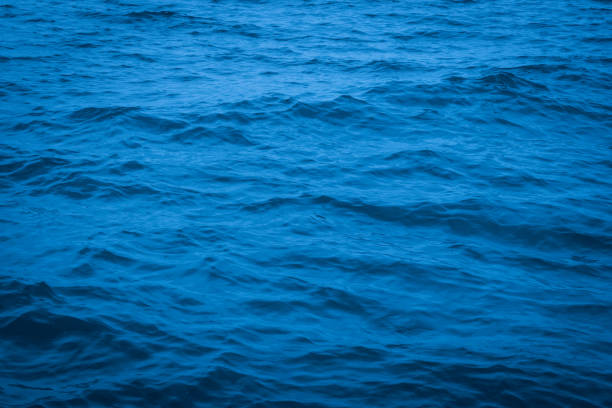 istock sea wave close up, water ocean background 972785712