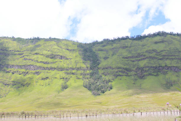 Savanna with a backdrop of hills and mountains, in Bromo Tengger Semeru National Park, East Java, Indonesia