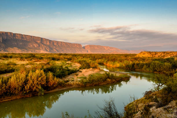 Early Morning Along the Rio Grande Early morning view along the Rio Grande looking towards Santa Elena Canyon. Big Bend National Park, Texas. green landscape stock pictures, royalty-free photos & images