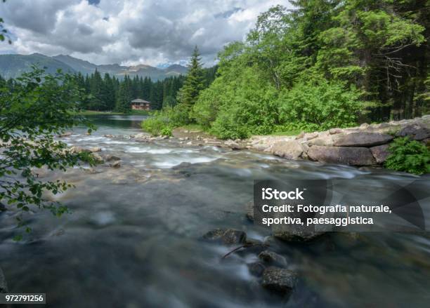 Caprioli Lake Stock Photo - Download Image Now - 2015, Beauty In Nature, Blurred Motion