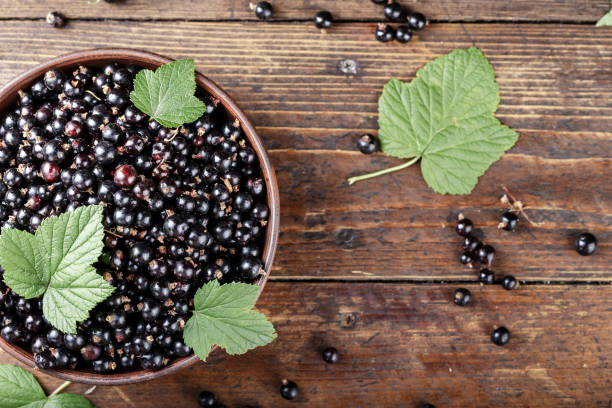 istock natural antioxidant fresh organic currant on a wooden background, space for text. 972794524