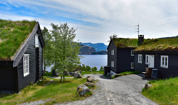 フィヨルドの横にあるログキャビン - scandinavian lake cottage house ストックフォトと画像