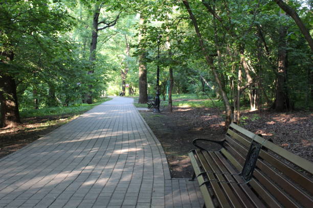 istock Walking paths between trees in the Botanical garden of Moscow. 972802024