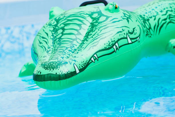 istock toy rubber animal in private swimming pool 972836310